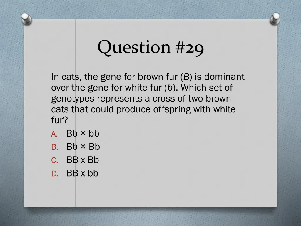 question 29