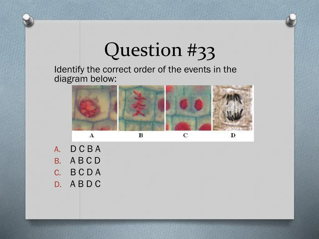 question 33 identify the correct order