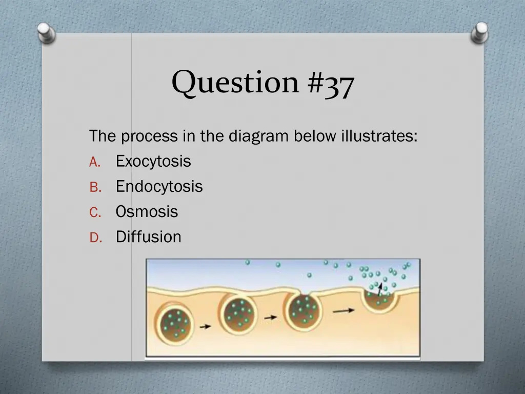 question 37