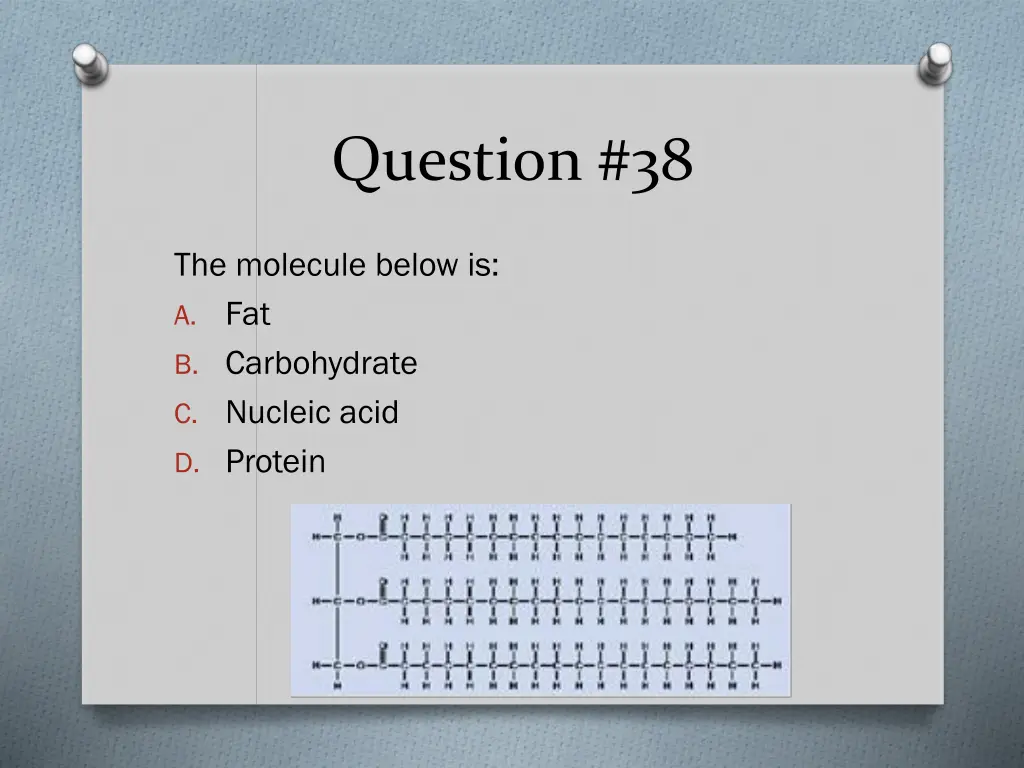 question 38