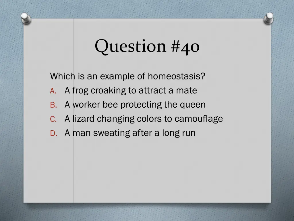 question 40