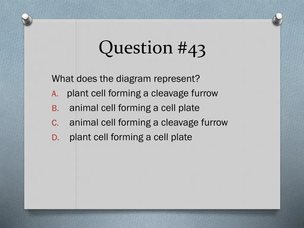 question 43