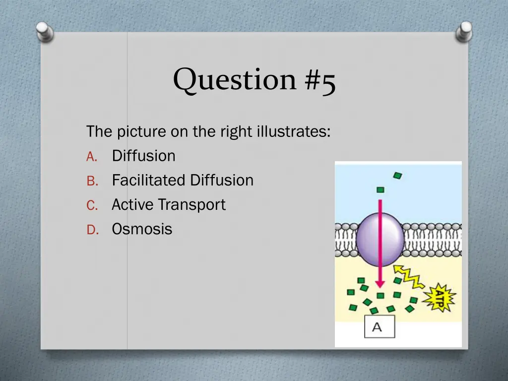 question 5