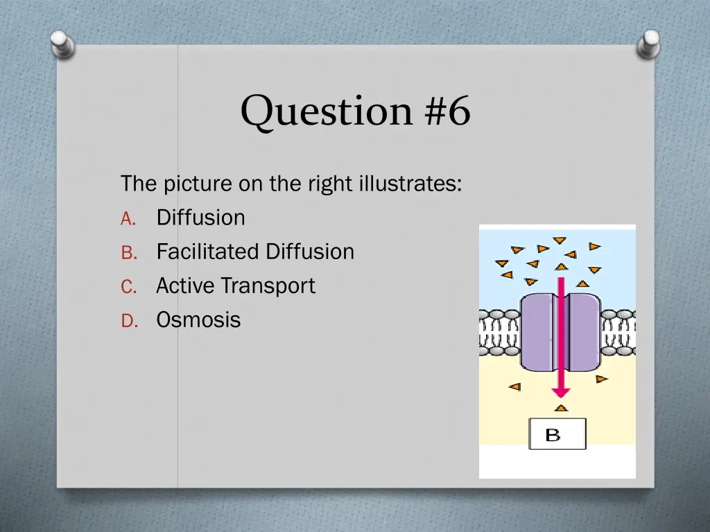 question 6