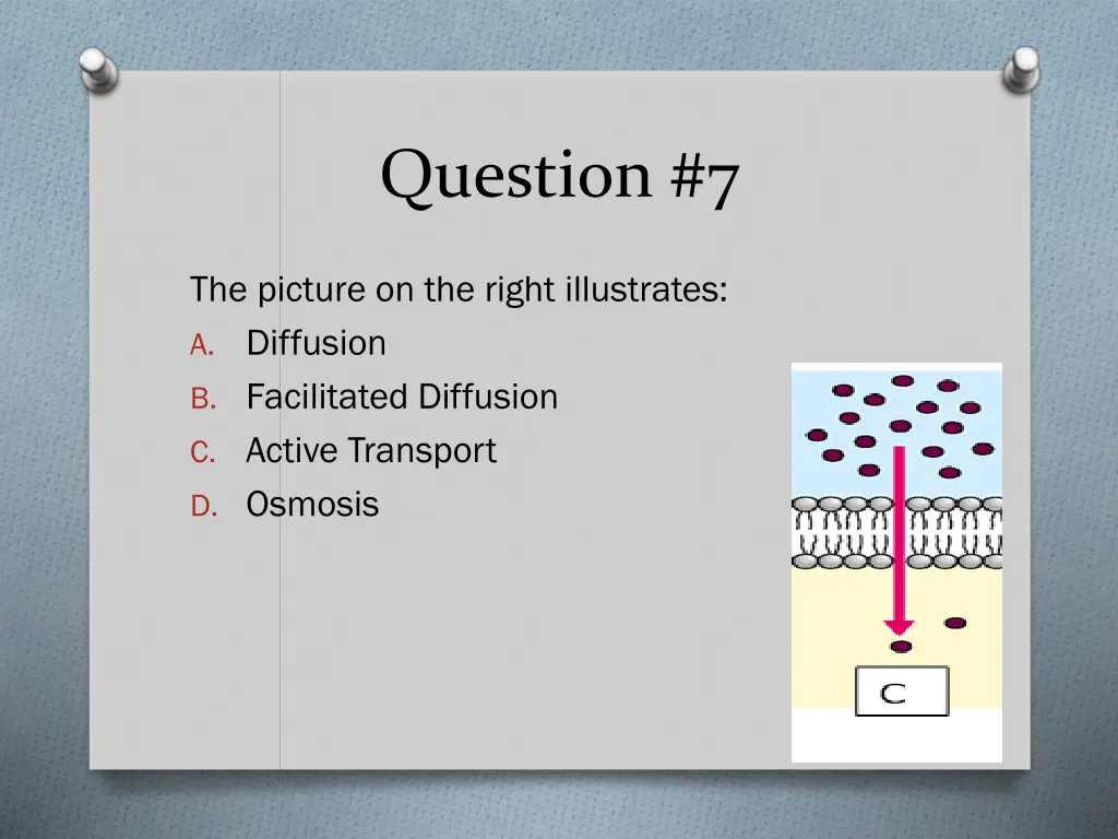 question 7