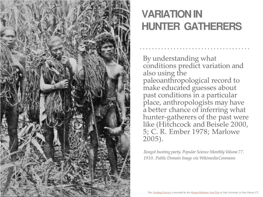 variation in hunter gatherers