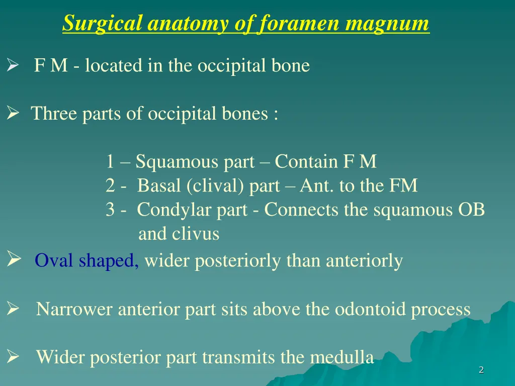 surgical anatomy of foramen magnum