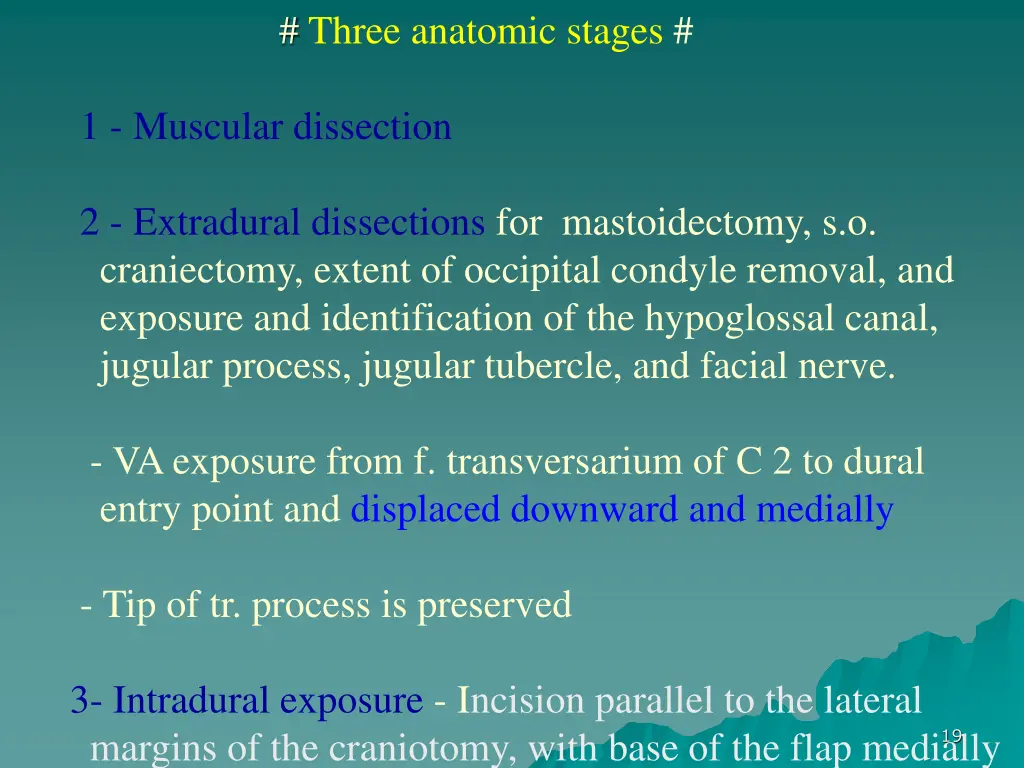 three anatomic stages