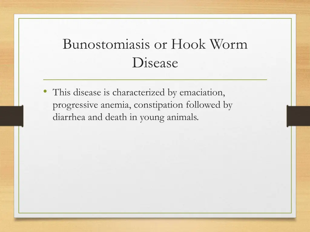 bunostomiasis or hook worm disease