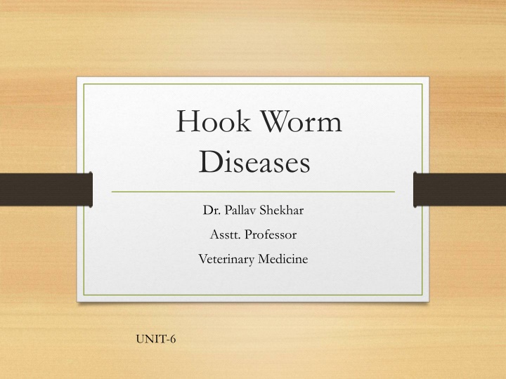 hook worm diseases