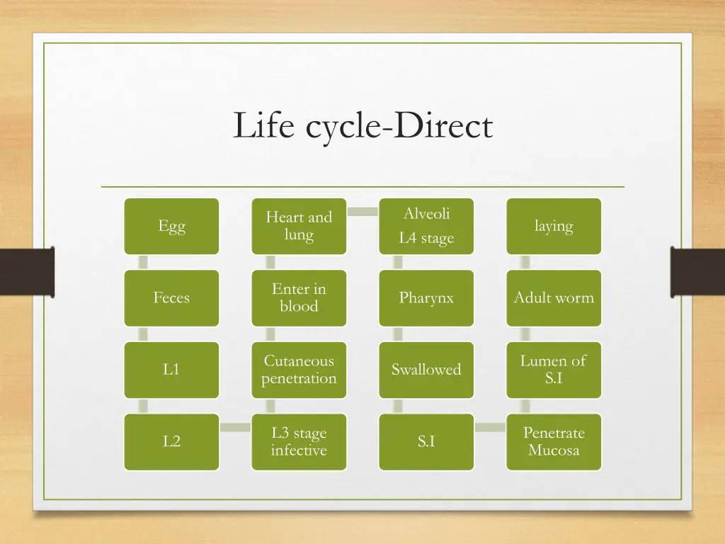 life cycle direct