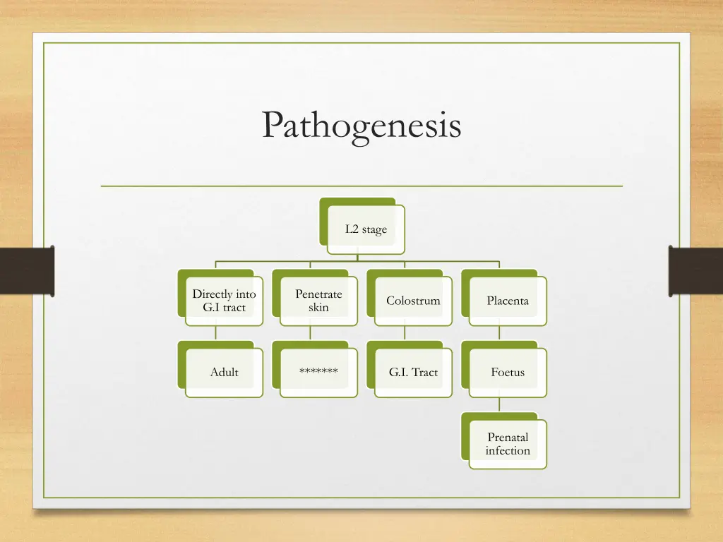 pathogenesis 2