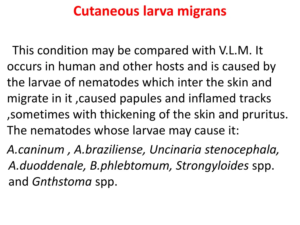 cutaneous larva migrans