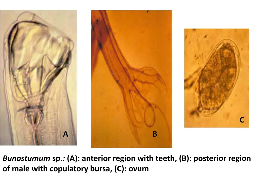 slide6