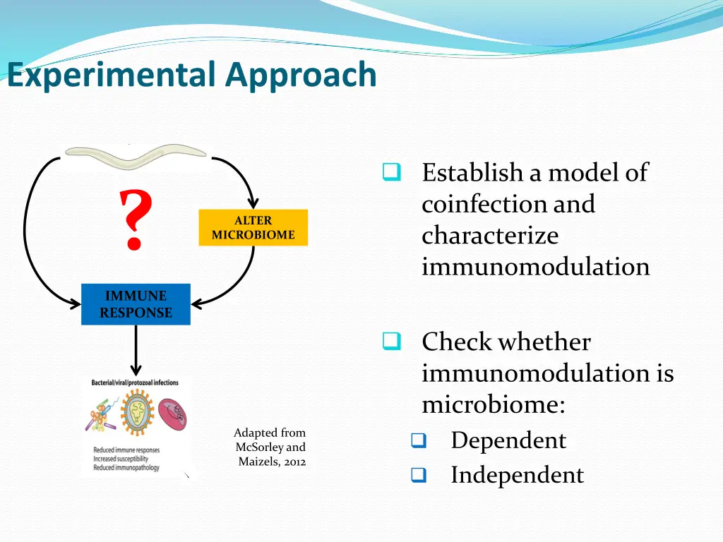 experimental approach