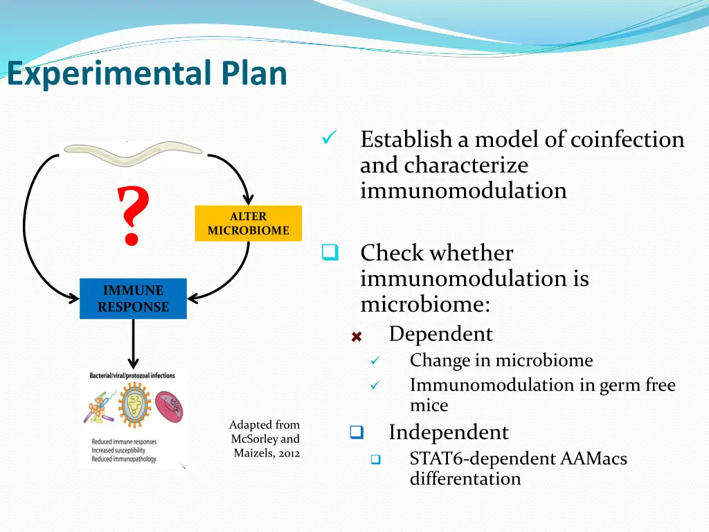 experimental plan 1