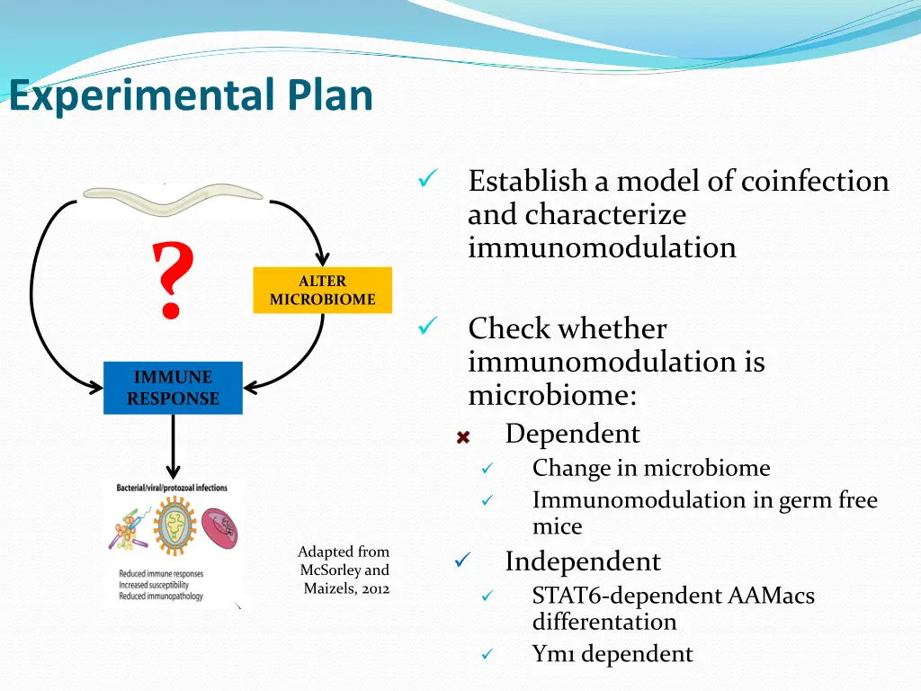 experimental plan 2