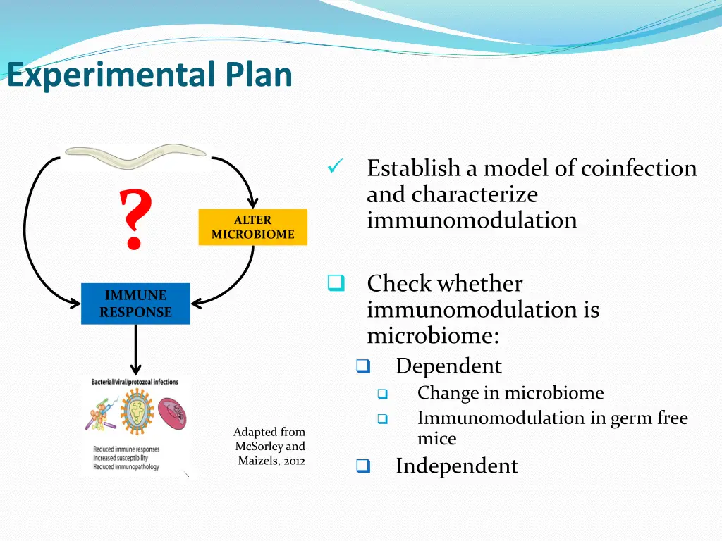 experimental plan