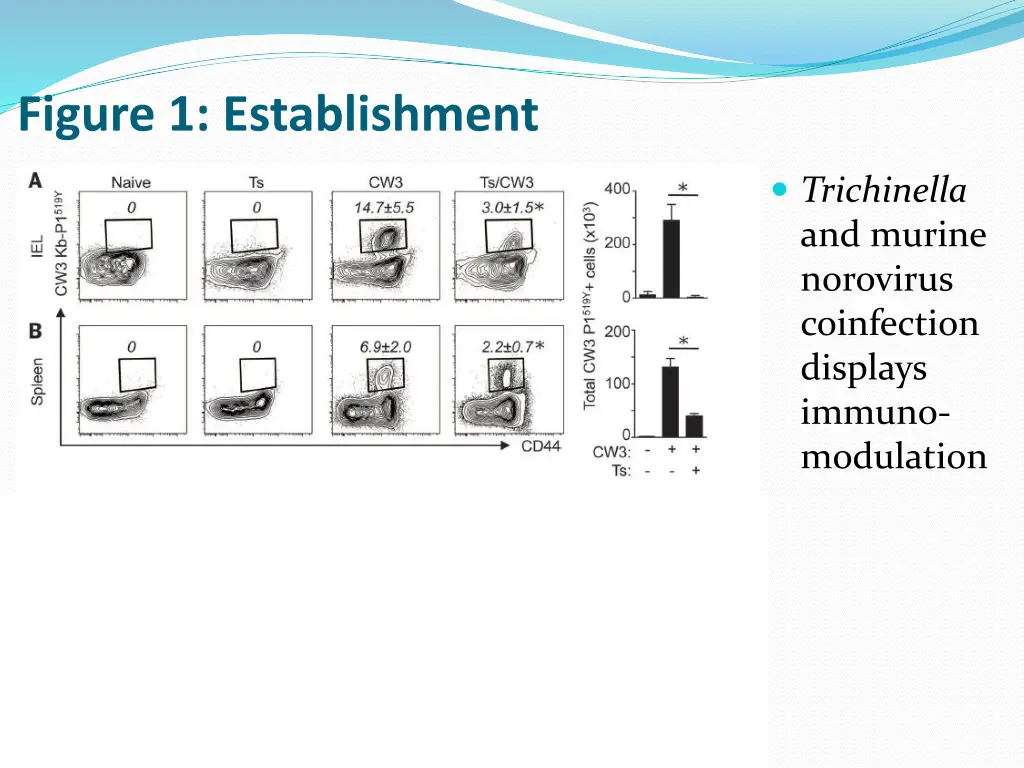 figure 1 establishment