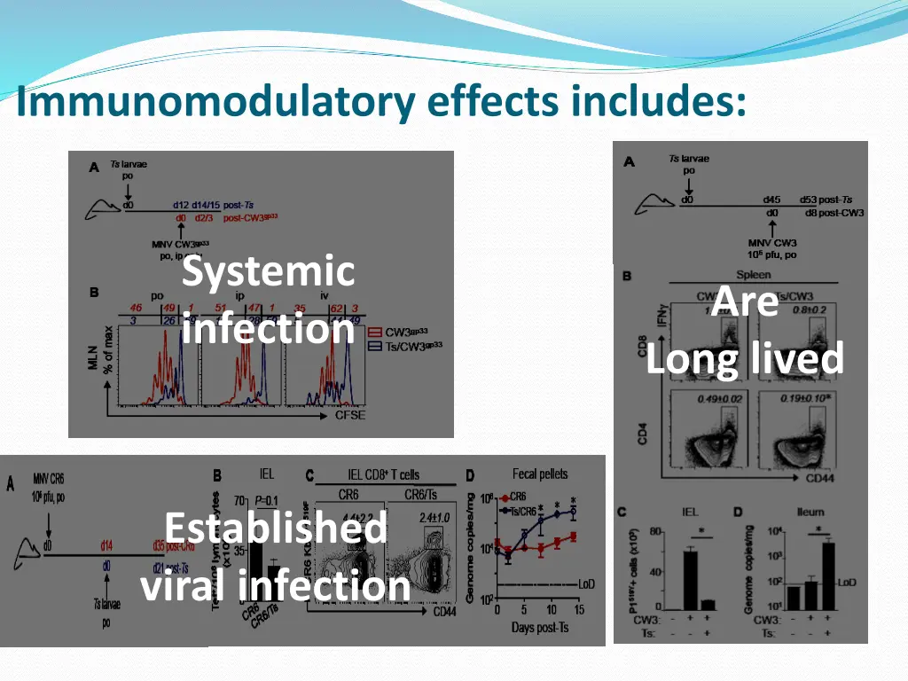 immunomodulatory effects includes