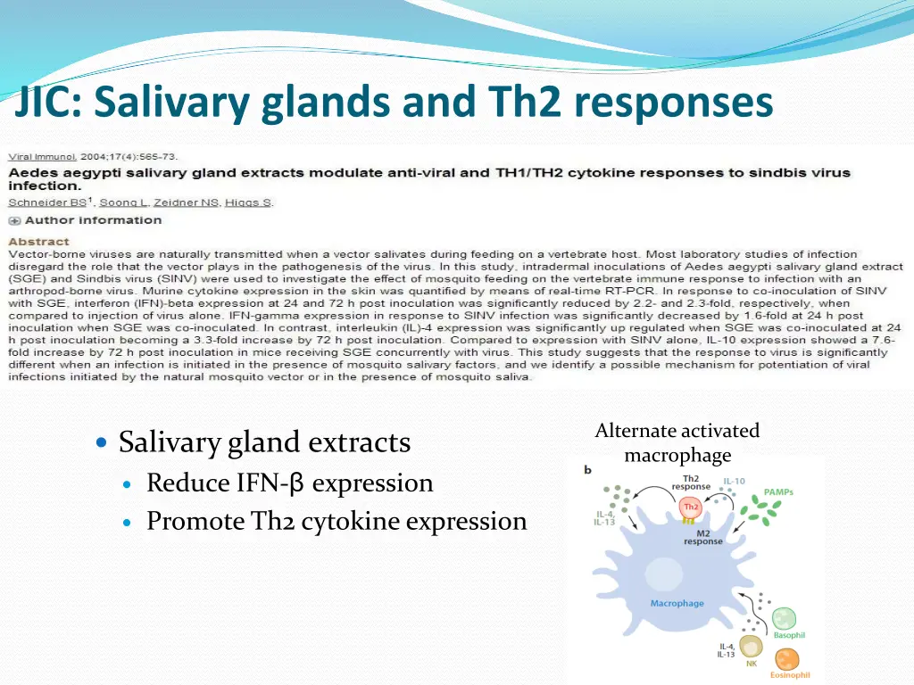 jic salivary glands and th2 responses