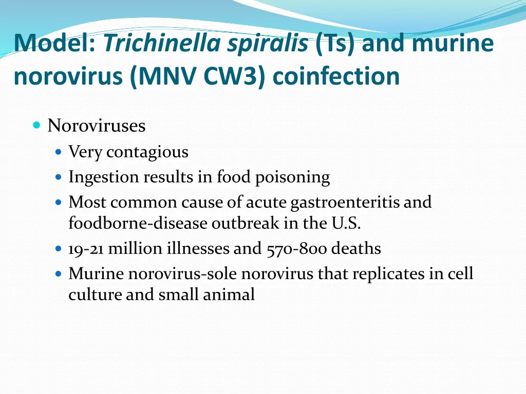 model trichinella spiralis ts and murine 1