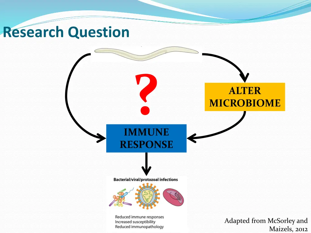 research question 1