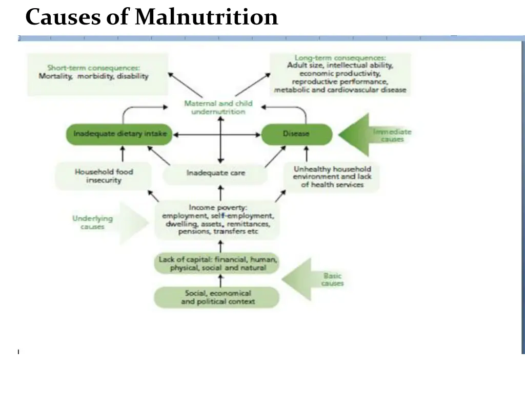 causesof malnutrition