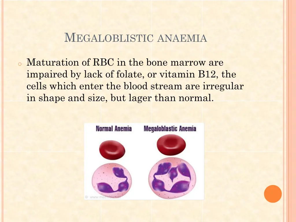 m egaloblistic anaemia