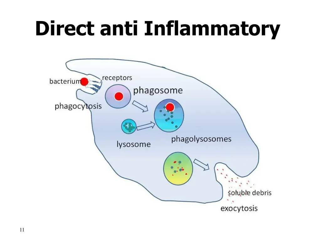 direct anti inflammatory