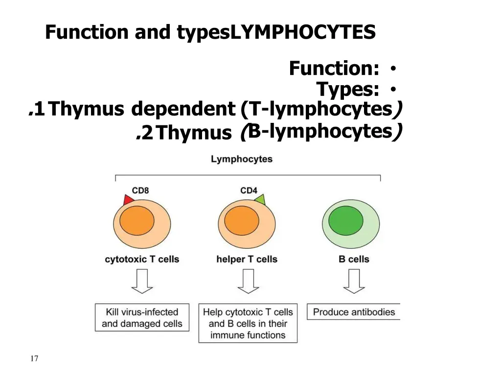 function and types