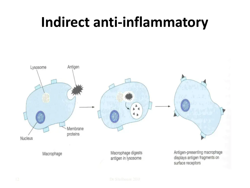 indirect anti inflammatory