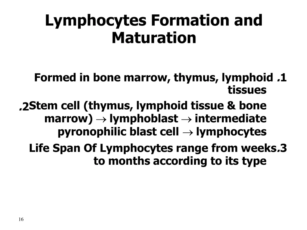 lymphocytes formation and maturation