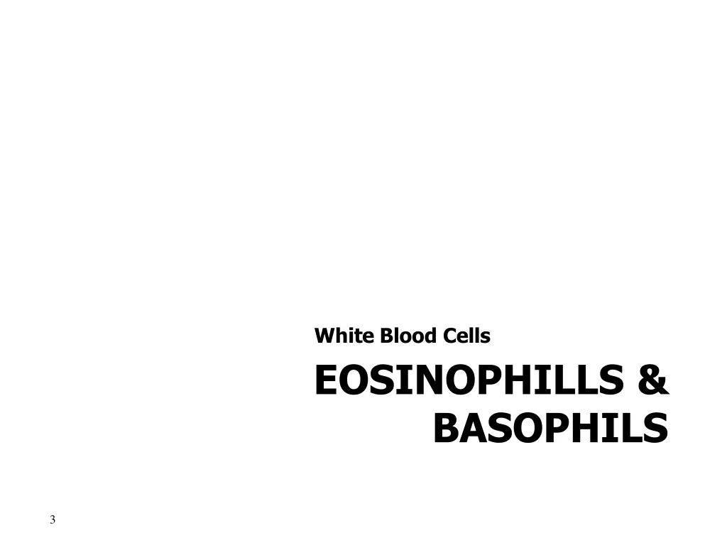 white blood cells eosinophills basophils