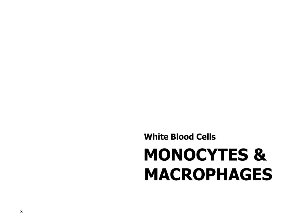 white blood cells monocytes macrophages