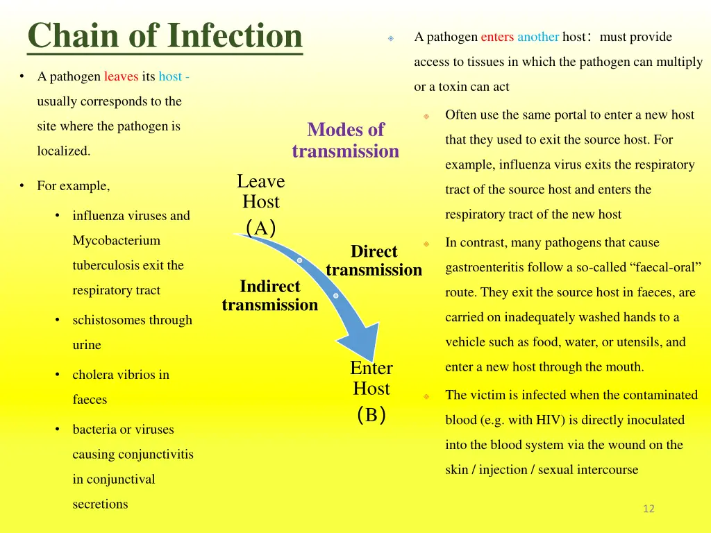 chain of infection