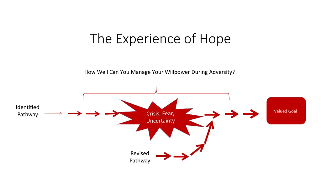 the experience of hope 1