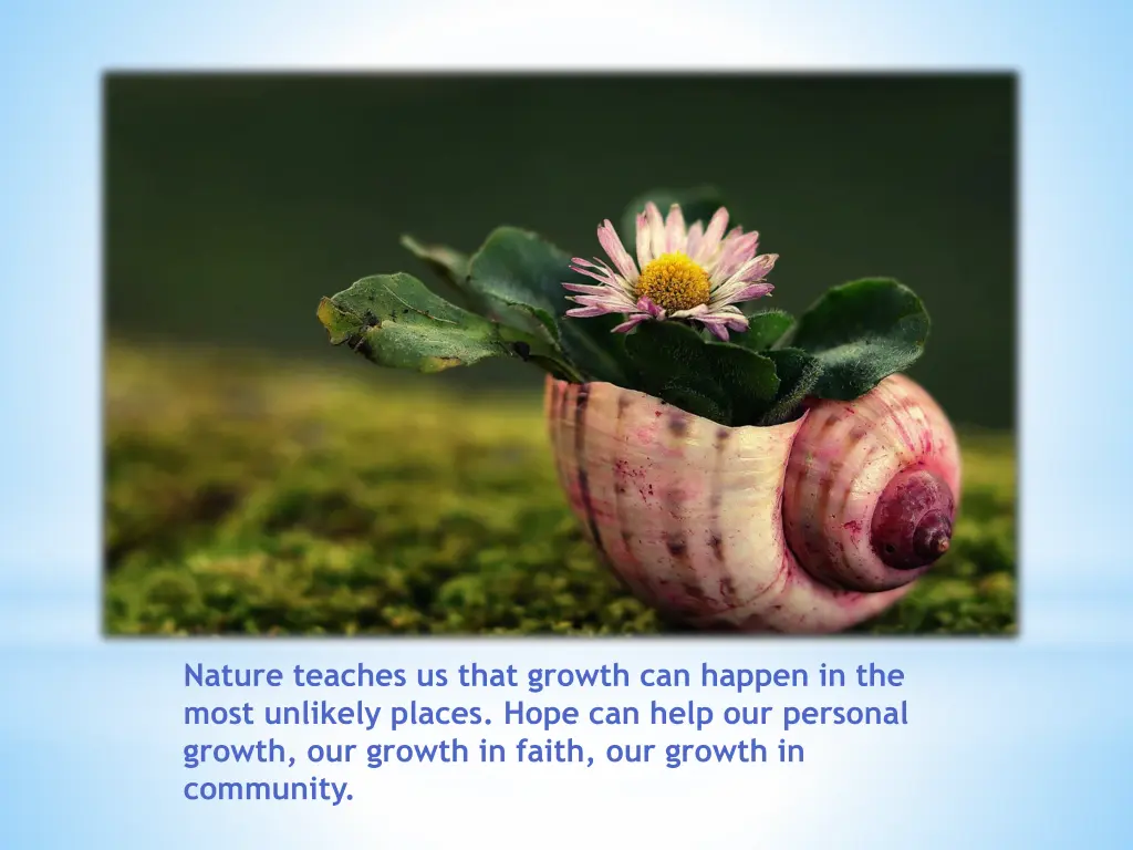 nature teaches us that growth can happen