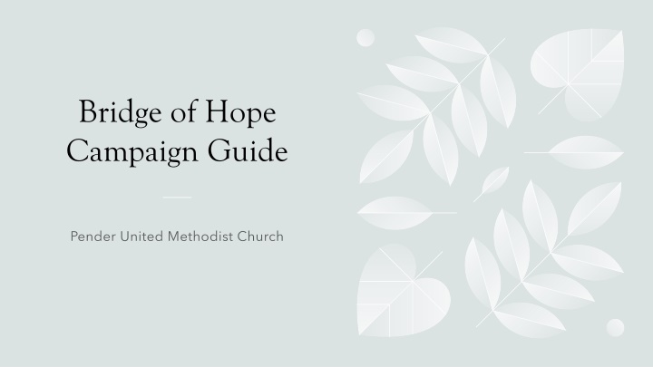 bridge of hope campaign guide