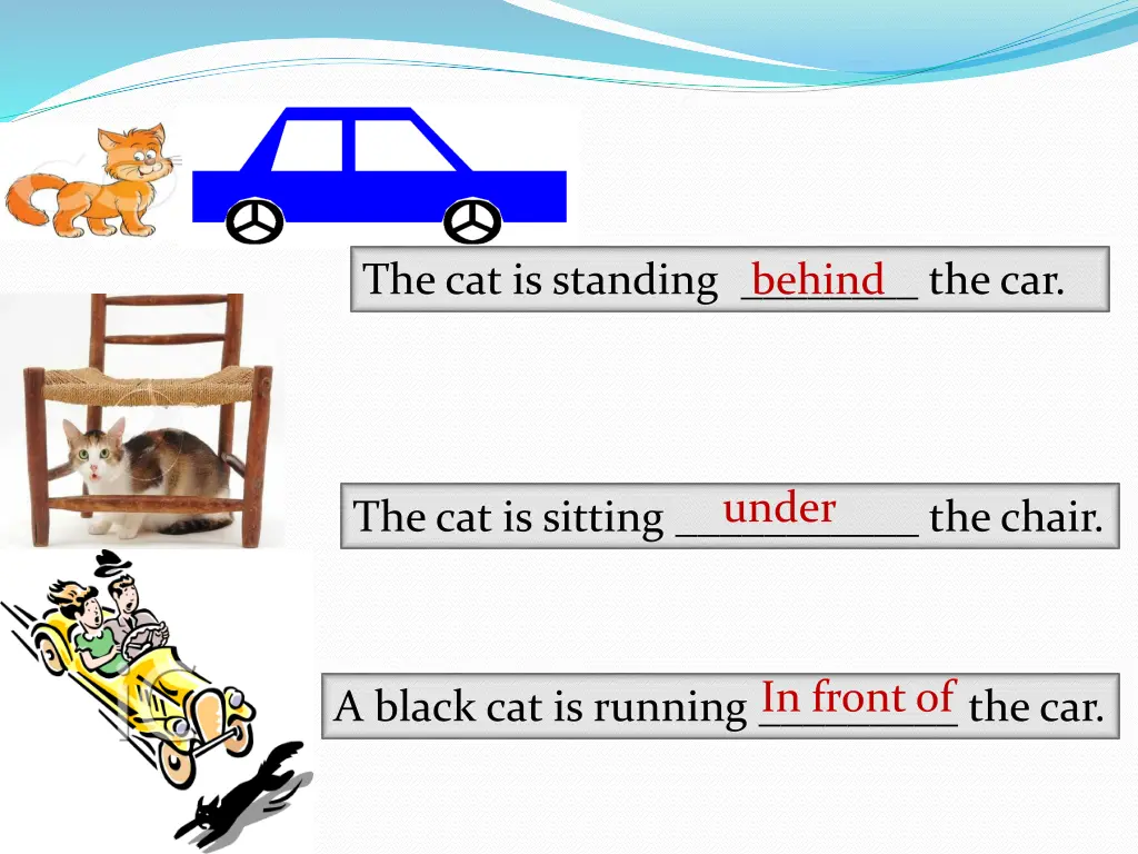 the cat is standing the car