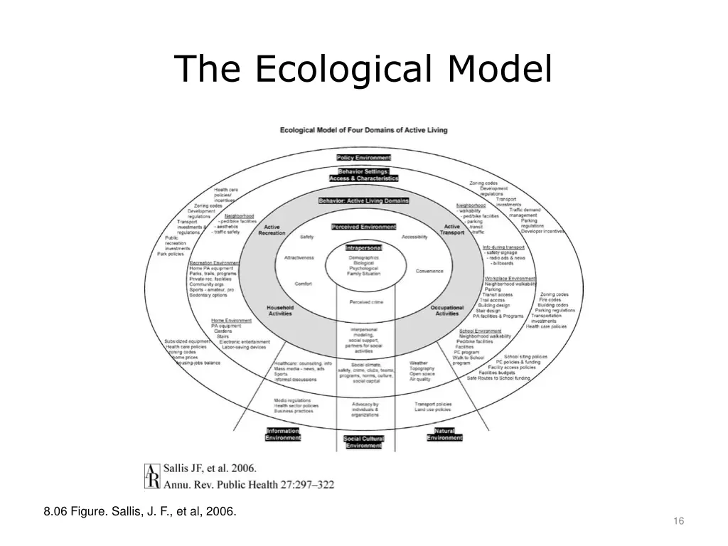 the ecological model