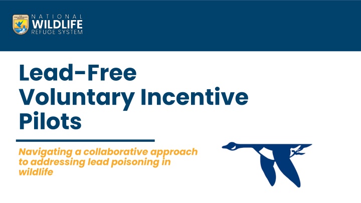 lead free voluntary incentive pilots