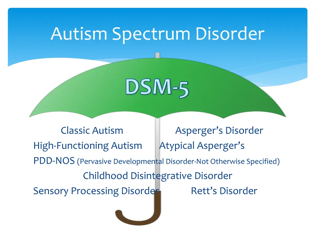 autism spectrum disorder