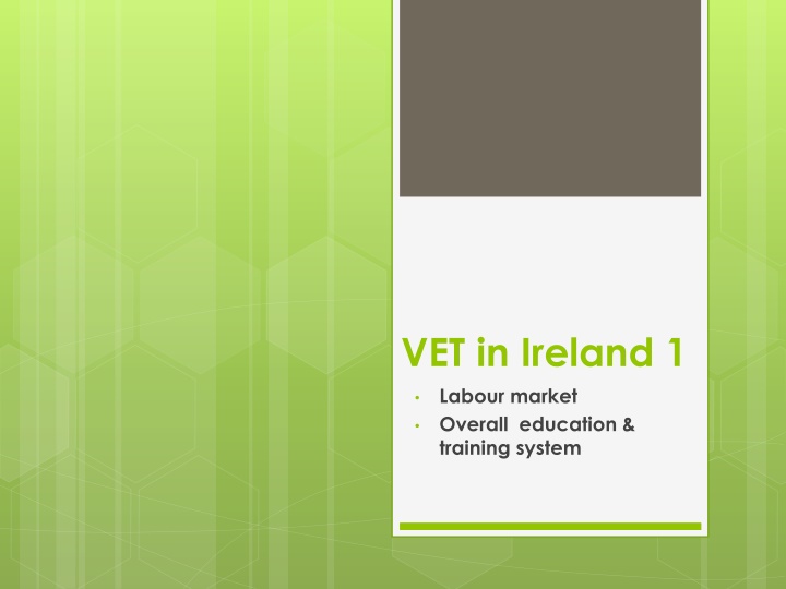 vet in ireland 1 labour market overall education