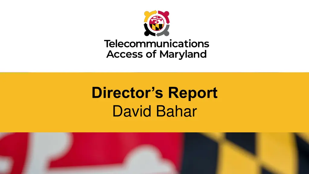 director s report david bahar