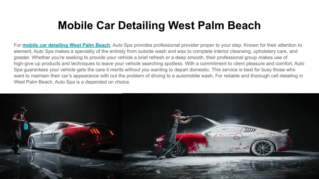 mobile car detailing west palm beach