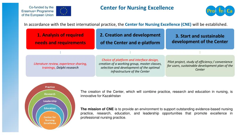 center for nursing excellence