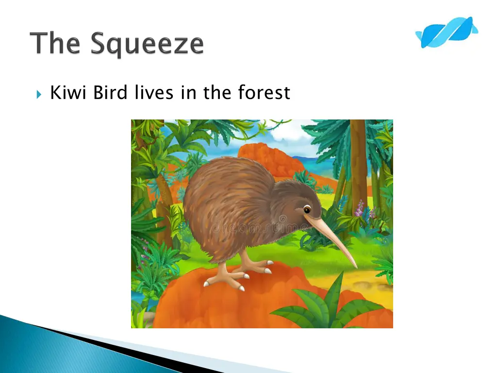 kiwi bird lives in the forest