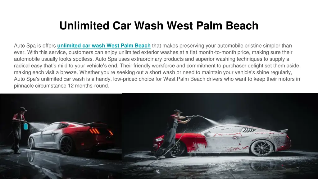 unlimited car wash west palm beach