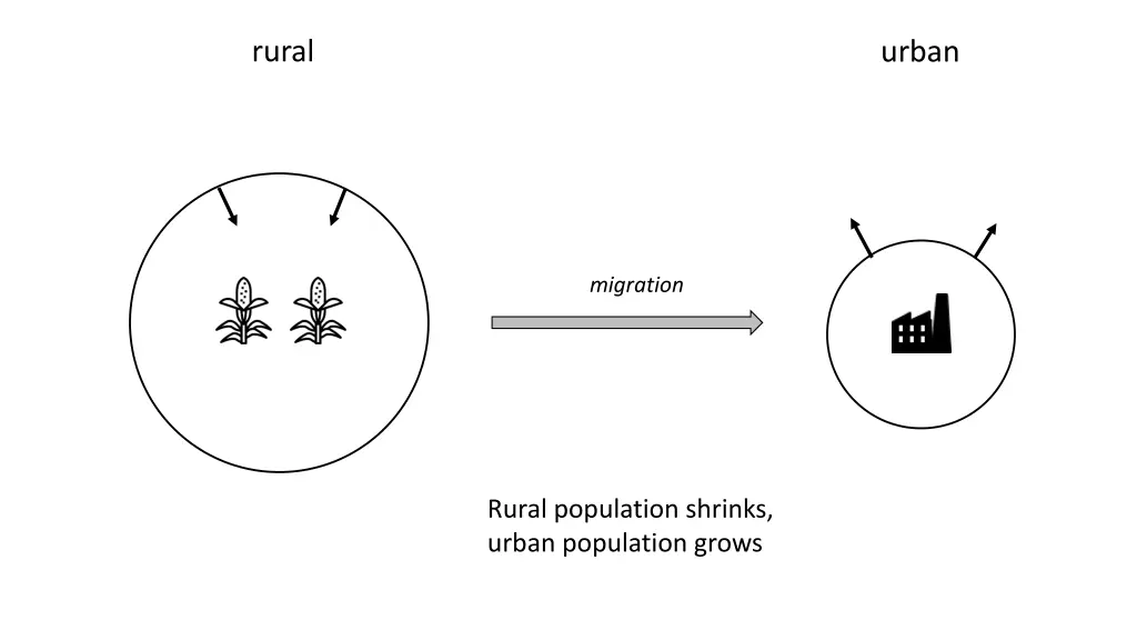 rural 2